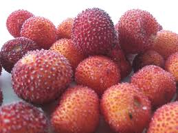 MADROÑOS CONGELADOS 1 KG